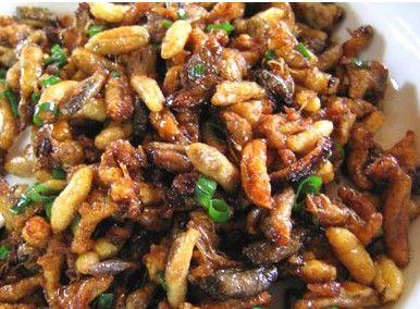 苗族侗族特色的炒香虫(图)