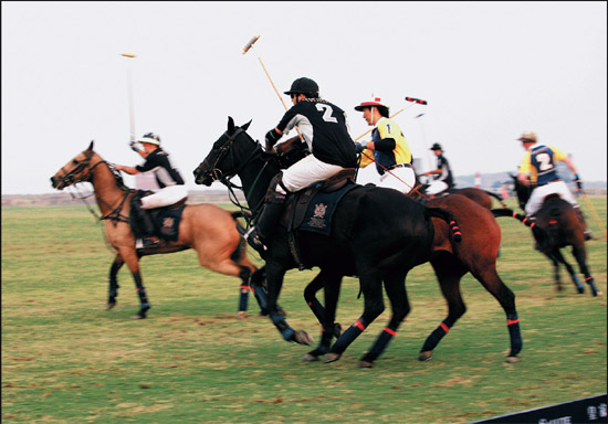 平常的节假日也有众多的马球爱好者来这里切磋技艺