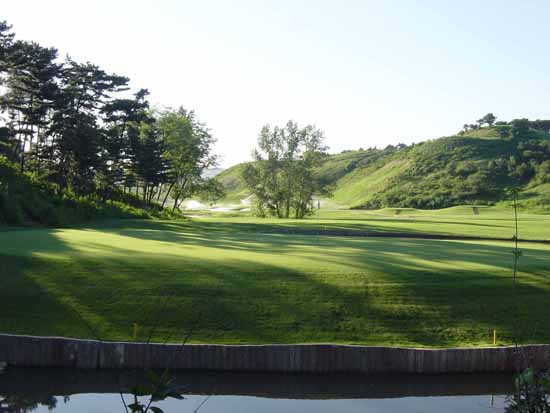 铁岭龙山国际球场