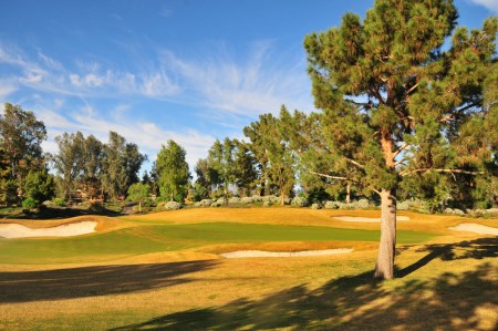 球场美景(点击看高清组图)