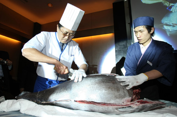 金枪鱼解体秀