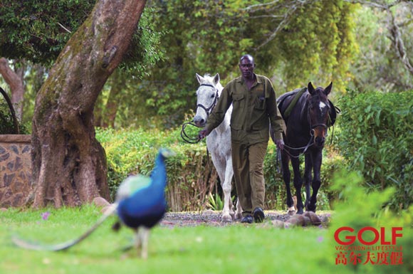 骑马游肯尼亚山