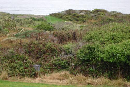 球进了保护区基本看不到