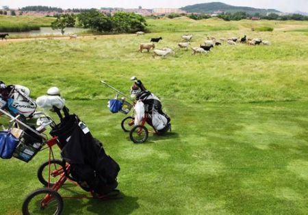 山东海阳旭宝高尔夫俱乐部