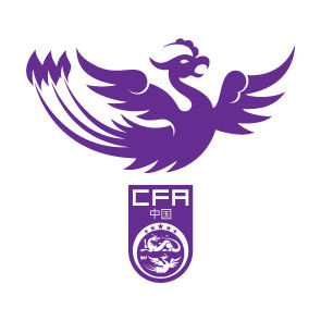 凤凰体现女子足球