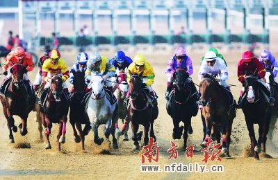 　　2008年11月29日，中国速度赛马公开赛(武汉)测试赛在武汉东方马城举行，标准着中国赛马运动开始步入职业化准备阶段。新华社发