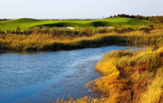 红柳是团泊湖的外表，本特草是团泊湖的心灵。