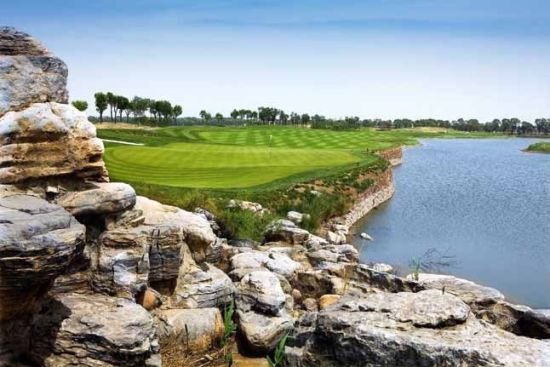 帝景球会掀起了天津球场全面 种植本特草的风潮。