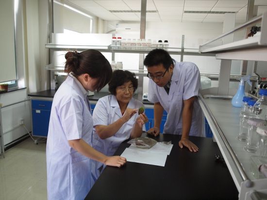 朝向草坪服务与研究中心