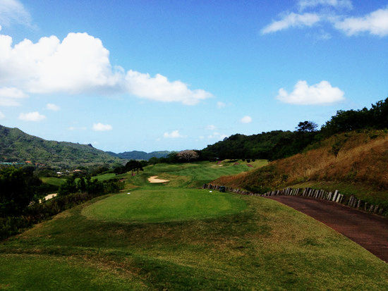 皮特戴伊的作品