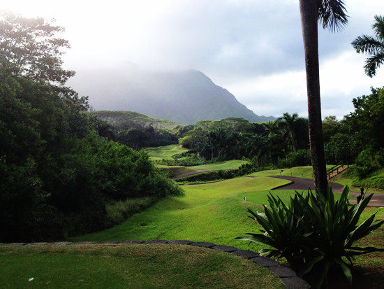 如梦如焕的皇家夏威夷球场