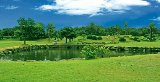 挥杆击球的圣地