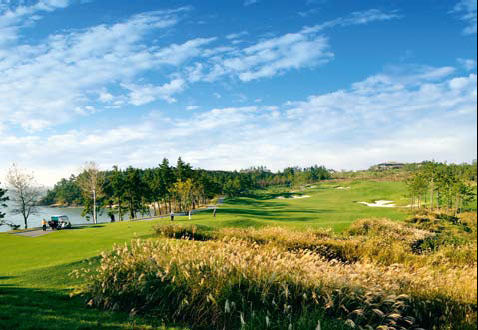 韩国松山海滩球场