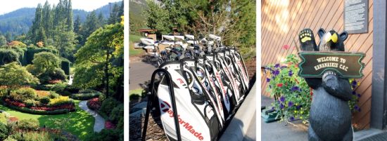 布查特私人花园、球场提供的新款租包、 卡纳那斯基卖店门口的熊。