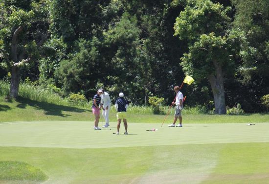 一起研究果岭对策