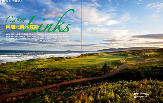 风起北美林克斯