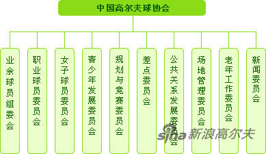 协会下属的委员会