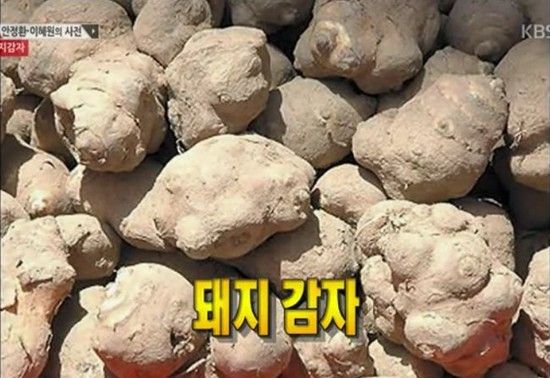 安贞焕吃过的本来用过喂猪的土豆