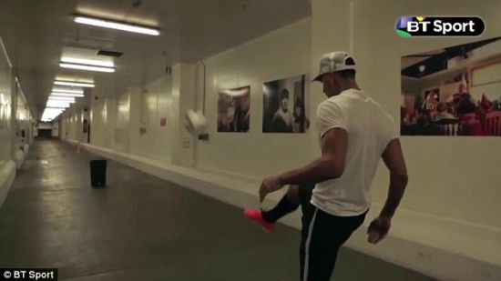 费迪南德进行尝试