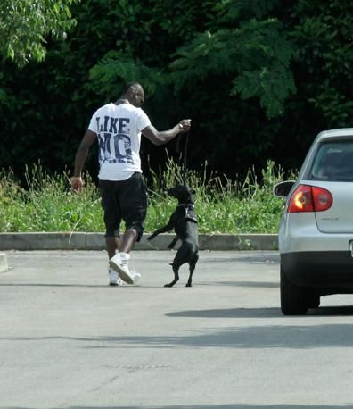 巴神逗宠物狗玩耍