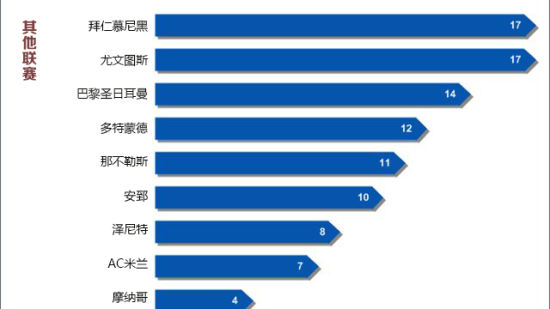 其他联赛