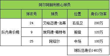 阿尔阿赫利核心球员