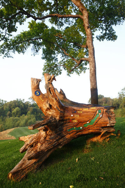 西双版纳高尔夫球会美景