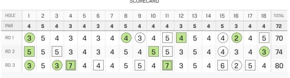 斯内德克尔的记分卡