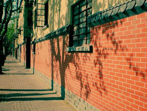 盘点上海六大美女聚集的跑步路线。