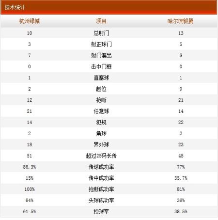 本场比赛技术统计