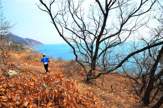大连100海景无敌。摄影：于峰