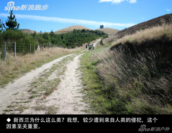 新西兰为什么这么美？我想，较少遭到来自人类的侵犯，这个因素至关重要。