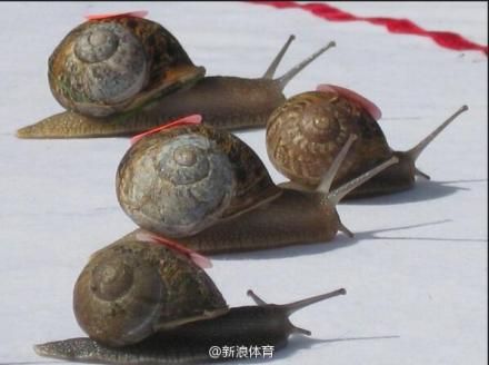德国队的后卫……