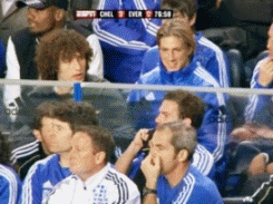 蓬蓬与托妞马塔