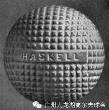 　哈斯克尔球带小突点