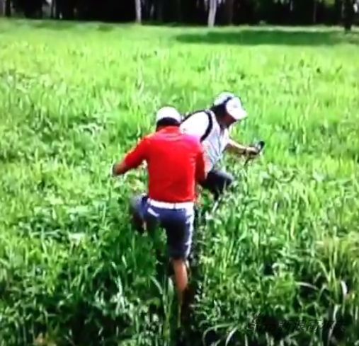 电视工作人员拉了一把戴伊