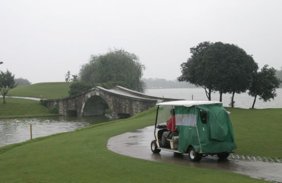 菲菲秋雨中漫游银杏湖。