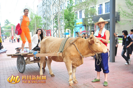 葛天坐牛车