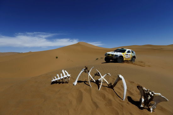 浪漫又残酷的丝绸之路