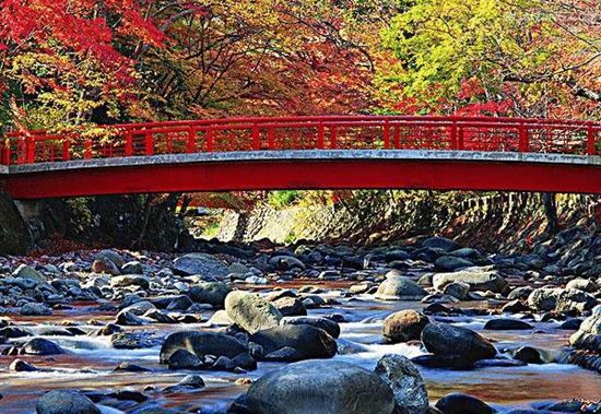  修善寺自然公园