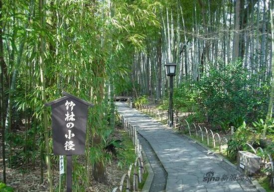 修善寺竹林小径