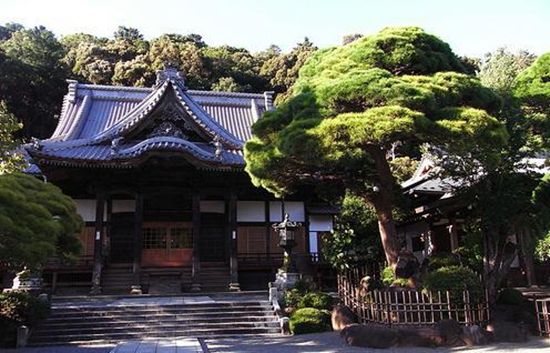 修善寺温泉旅馆