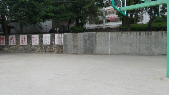 这里的场地