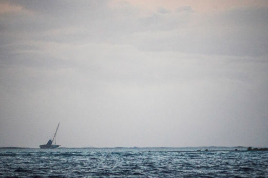 维斯塔斯风力队触礁