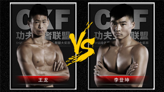 王龙VS李登坤