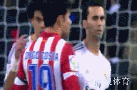 GIF图：佩佩向科斯塔擤鼻涕