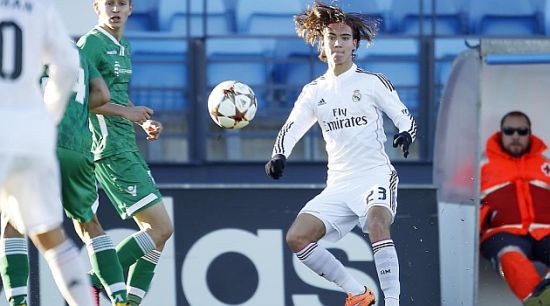 荷兰天才皮特斯