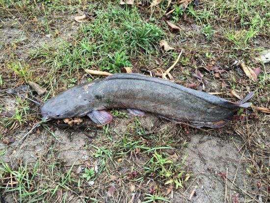 胡进指导的收获