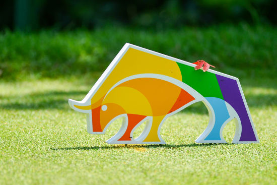 深圳国际赛的五彩牛