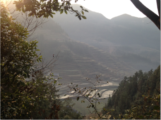 赛道中随处可见梯田。